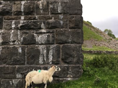 Ribblehead viaduct.
