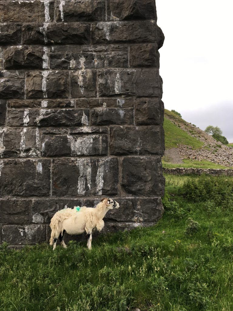 Ribblehead viaduct.